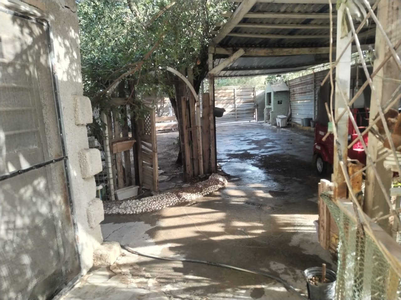 بيت ابو دشير • بالقسط • تشجير ٤٠٠م