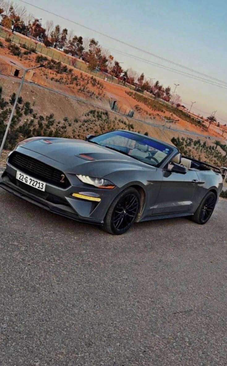 للبيع .. 
فورد موستنك أيكوبوست 2020 بريميوم كشف نسخه  55th 
Mustang Ecoboost 2020 Premium 
(المواصفات)
مقاعد جلد كهربائية ( تدفئة وتبريد )
تشغيل عن بعد + الفتح التلقائي للابواب 
أضاءة داخلية + گيجات 7 الوان
6 وضعيات قيادة( N - S - S+ - T - D - W )
3 وضعيات ستيرن (S - N - C) + شفتات حساس خلفي
+ مثبت سرعة
شاشة Sync 3 + كامرة خلفية 360 درجة FHD
سستم صوت Shaker + منافذ USB عدد 2
(الإضافات)
عطاس تيربو 
ليد لايت امامي  
كڤر مرايات باتمان+ كڤر يدات+  + داخل + ستيرن كله كاربون 
داخلها كلش نظيف وجديد
(محرك + گير + إكسل + صدر + تبريد كله بشرط 🔥)
(الادامة750$
دهن المحرك + الگير + الاكسل + البريك + فلاتر المحرك والهواء والكابينة + بلكات + ماء الراديتر + البطارية + قاعدة فيول بمب كاملة كلهن مبدلهن جديد MotorCraft ألاصلي مالتها & تنظيف منظومة الاحتراق + المحرك من الداخل من BG
السيارة عليها پوليش كامل 
(الحادث) امامي وخلفي السياره صبغ حزام تغير لون من ابيض الى نفطي تغير لون  دبي
وعليه تايرات  تو سايز خلفي 275
السياره ماشيه حقيقي 57.000mile
📞📞📞
 التواصل... 📞📞***********📞📞 اتصال او واتس اب 
السعر مناسب ⏪
