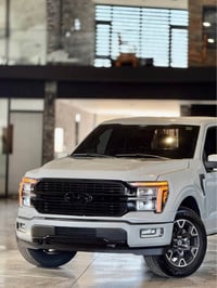 فورد F150 STX • ٢٠٢٤ • بلا ايرباغ