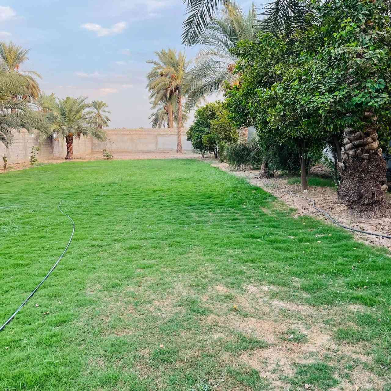 نص دونم • الجعارة • مخدوم
