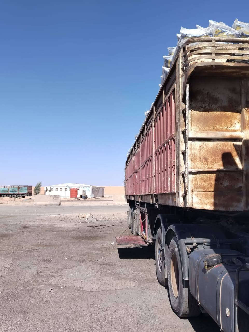 بلوم • دناكير ١٤ • ابو غریب بغداد