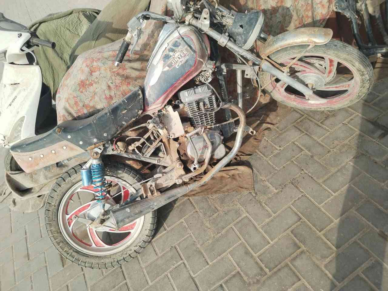 جونده • شاصي نضيف • وراقه ضايعه