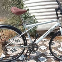 باسكل • نضيف • ٢٧ بوصة
