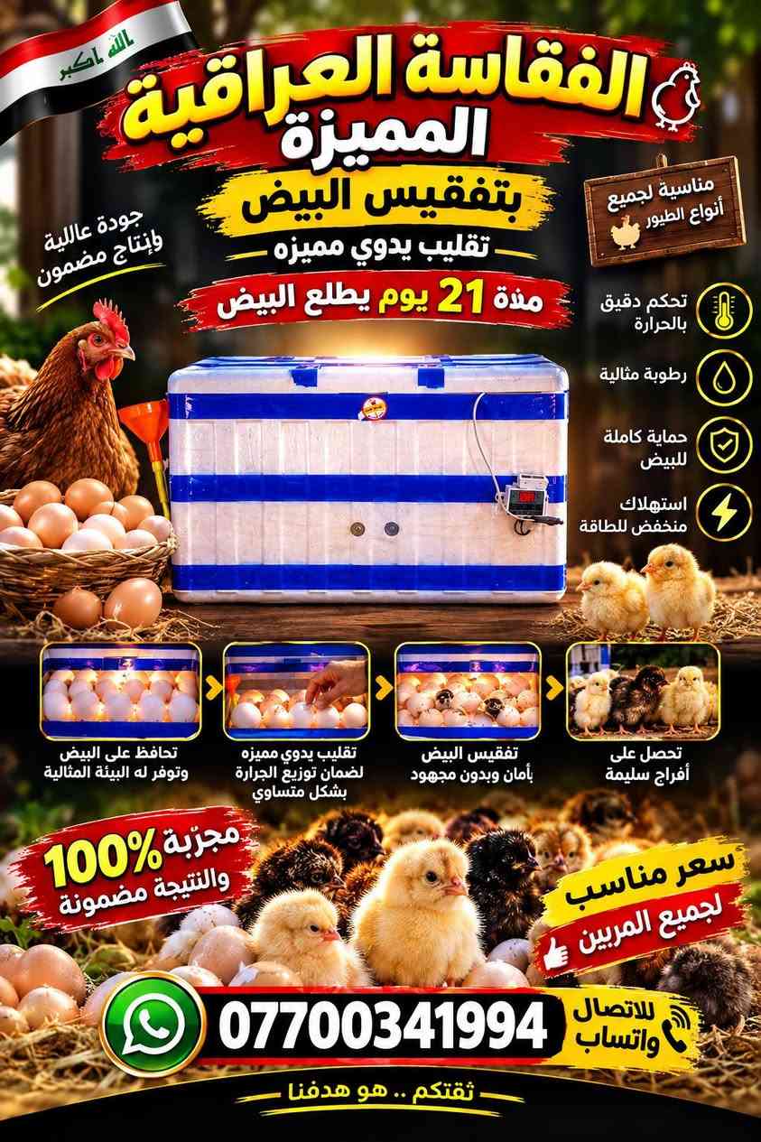 متاح
علاج عيون للدجاج
وجميع الطيور 
البصرة قضاء المدينة
توصيل موجود
اتصل 🗣📲📞
***********

نص مكتوب في الصور:
- الله أكبر الفقاسة العراقية المميزة بتفقيس البيض تقليب يدوي مميزه مدة 21 يوم يطلع البيض جودة عالية وإنتاج مضمون مناسبة لجميع أنواع الطيور تحكم دقيق بالحرارة رطوبة مثالية حماية كاملة للبيض استهلاك منخفض للطاقة تحافظ على البيض وتوفر له البيئة المثالية تقليب يدوي مميزه لضمان توزيع الحرارة بشكل متساوي تفقيس البيض بأمان وبدون مجهود تحصل على أفراخ سليمة مجربة 100% والنتيجة مضمونة سعر مناسب لجميع المربين للاتصال واتساب *********** ثقتكم .. هو هدفنا