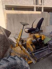 دنبر تاوتز