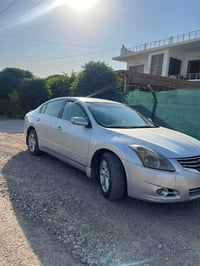 التيما • ٢٠١٢ • أربيل