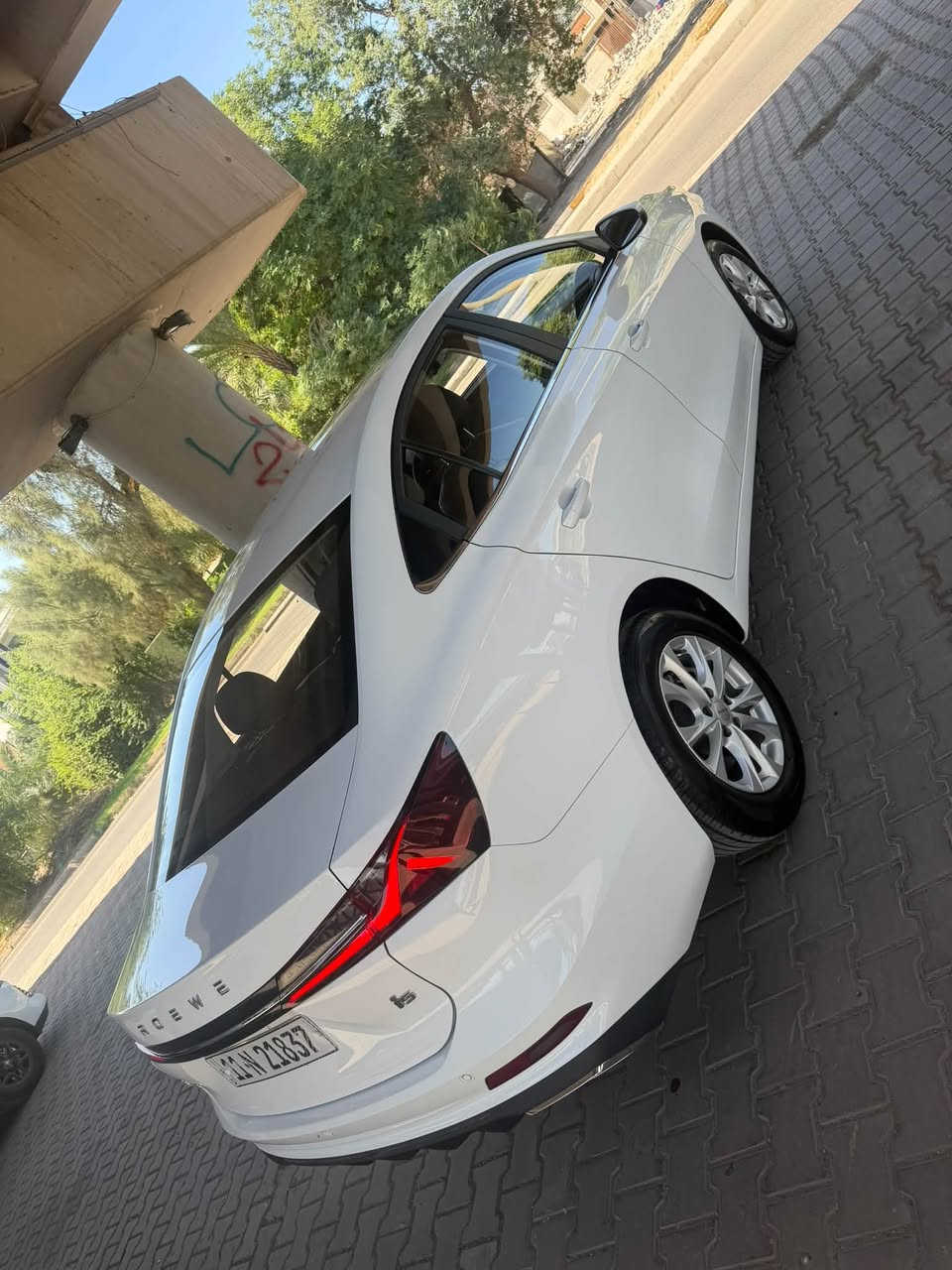 روي • ٢٠٢٤ • أخت الزيرو