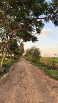 اليوسفية بغداد • خمس دوانم • طابو زراعي