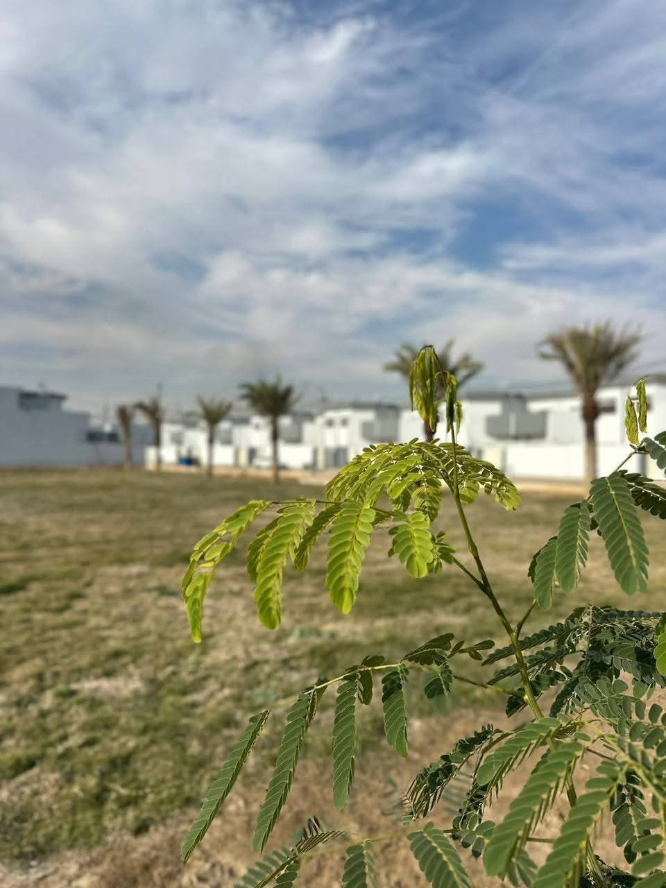 بيع مستعجل🔥
بيت في مجمع الوفاء السكني بــلــ B ــوك 

المساحه ١٠٠م  
مرحلة ثانية 
الاستلام سنة ونصف الى سنتين 
واصل للشركه 33 
يباع بتطلوعه 5 ملايين 
مشمول بمبادرة المصرف العقاري 
طابو صرف 
***********
