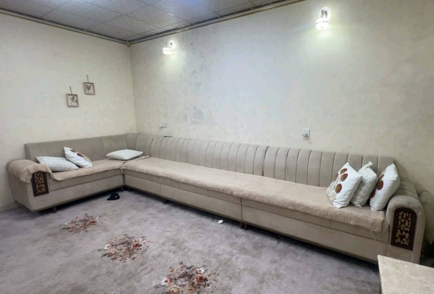 قنفات • طبلات • ٧م