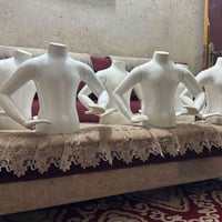 للبيع تركي درجى اولى العدد6 العمر  ولادي العنوان بغداد بلديات السعر 15...