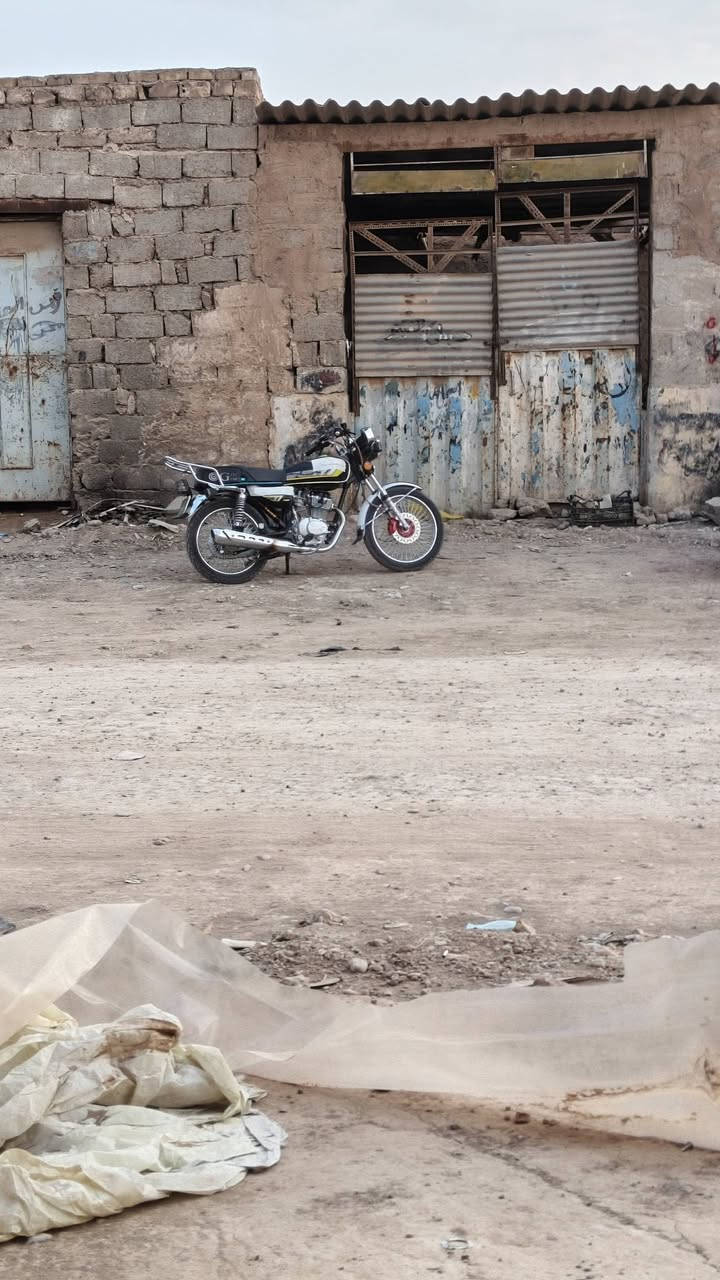 تايكر سولنك • موديل ٢٠٢٥ • اصلي