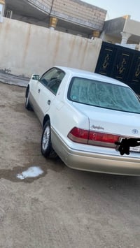 راس ثور • بدون ضربة • مكفوله