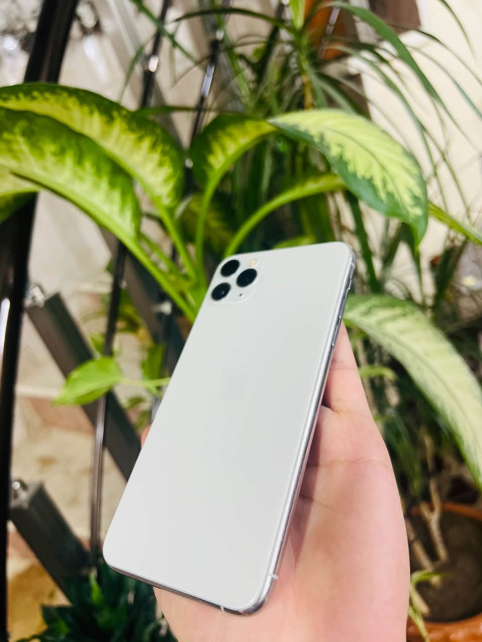 ايفون 11برو ماكس ابيض ✨
مستبدل شاشه+بطاريه فول شرط☄️
ذاكره 64✨نضافه 98‎%‎شرط الاستخدام 
انسب سعر بكل السوك شرط بسعر ال 11عادي المفتوح🔥🔥☄️اتصال(***********)

نص مكتوب في الصور:
- ٦:٢٩
- الملاحظات
- لا توجد ملاحظات
- بحث