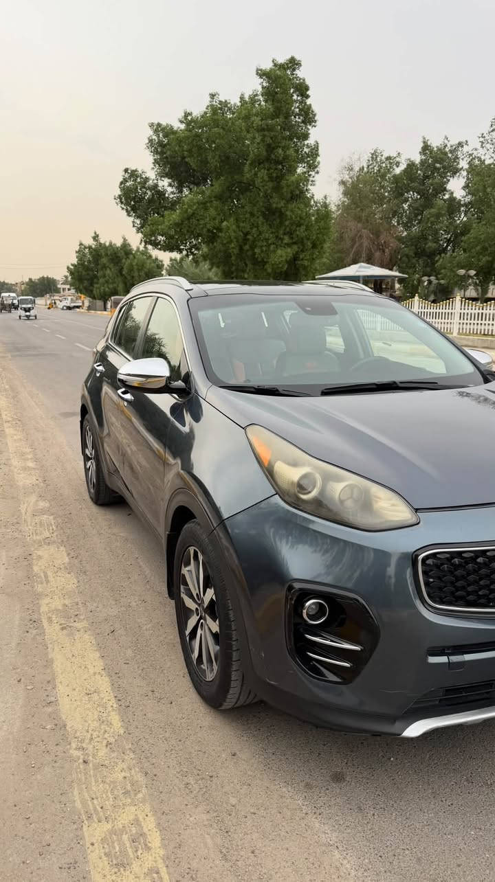 سبورتج • ٢٠١٧ • بانوراما