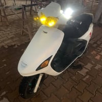 فراشة • فحل • باتري