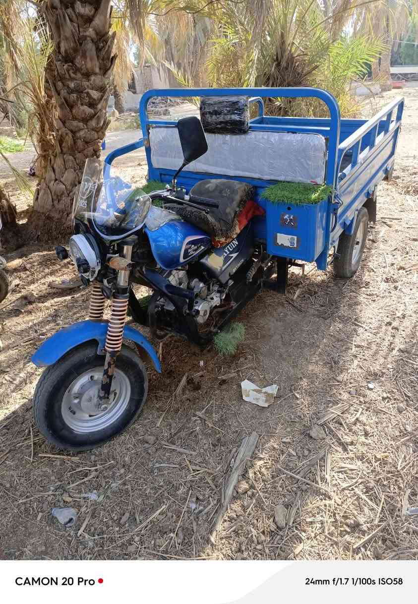 ستوته دايوان رقم وسنويه نكليزي تحويل ثاني يوم الشراي يتصل ***********
