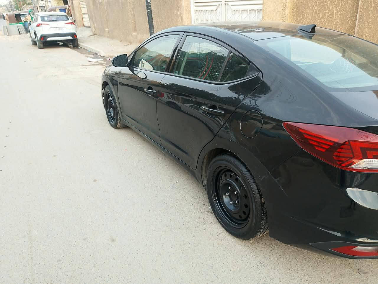 فول مواصفات • ٢٠٢٠ • المشتل