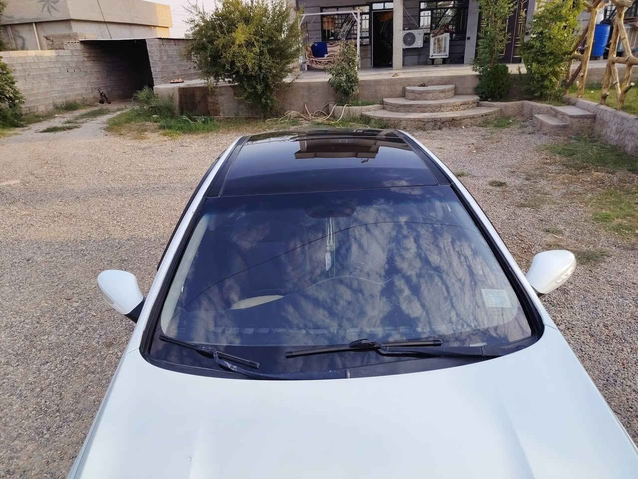 سوناتا بانوراما • رقم نينوى • صبغ عام