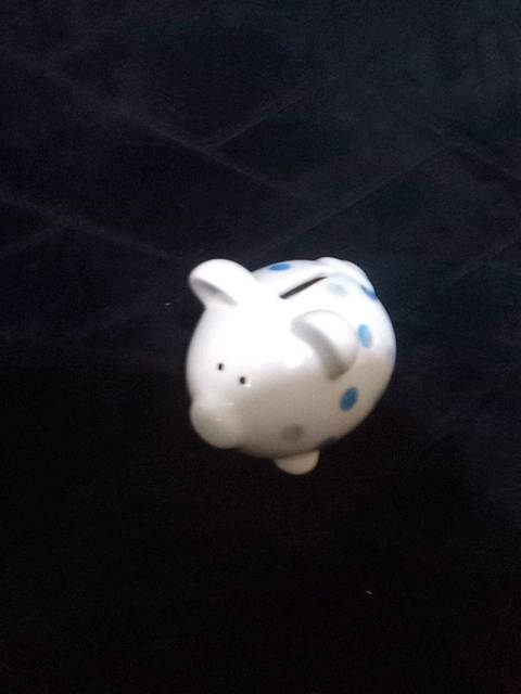 حصاله السعر 10000