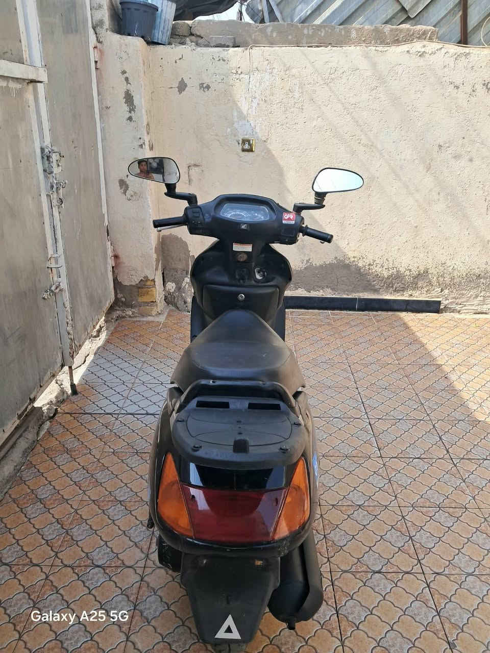 سبيسي • ياباني • بلاديه