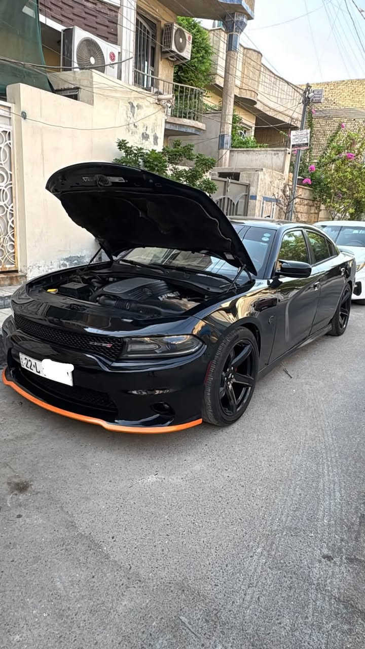 جارجر ارتي • ٢٠١٨ • رقم اربيل