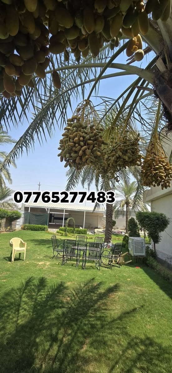 🏡 للبيع بيت فاخر ومميز جداً — فرصة نادرة

📍 العنوان: بغداد – المدائن

📐 مساحة الأرض: دونم كامل 2500م²
🏠 مساحة البناء: 250م²
📏 الواجهة: 35م على شارع عام
📏 النزال: 72م على شارع فرعي
📍 البيت ركن وموقعه مميز جداً

🌳 حديقة واسعة بمساحة 1000م²

✨ تفاصيل البيت:
• طابقين — بناء حديث سنة 2025
• بناء درجة أولى
• 4 غرف نوم
• 2 سويت روم
• مطبخ
• صالة
• استقبال
• كراج يسع 5 سيارات
• مكان مخصص للمولد

⚡ مولد 50 KVA موجود ضمن العقار
🛋️ البيت يُباع مع جميع الأثاث + المولد

🔥 عقار متكامل للسكن الراقي والاستثمار
مساحة كبيرة، بناء حديث، حديقة واسعة، واجهة على شارع عام، ونزال على شارع فرعي.

📞 للاستفسار والتواصل:
***********
