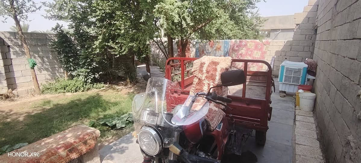 ستوته • موديل ١٤ • اوراق كاملة