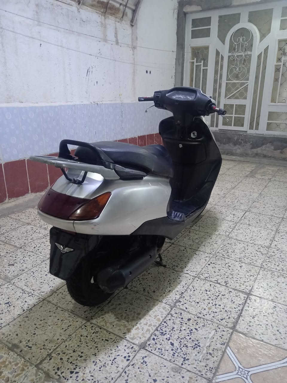 سبيسي • ياباني • كوت زوريجات