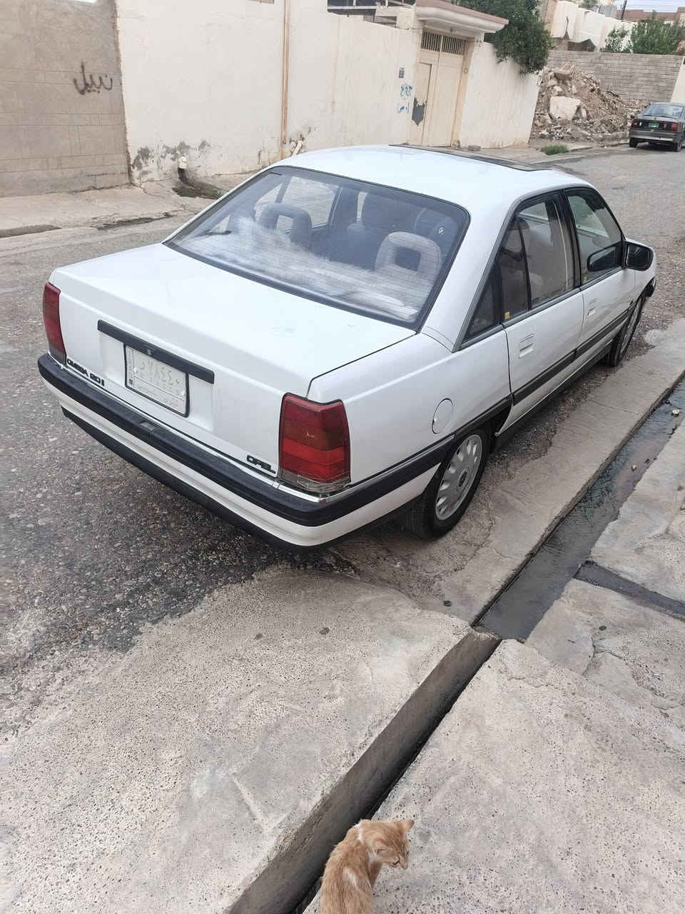 اوميغا ٩١ • كير عادي • بها كوبون