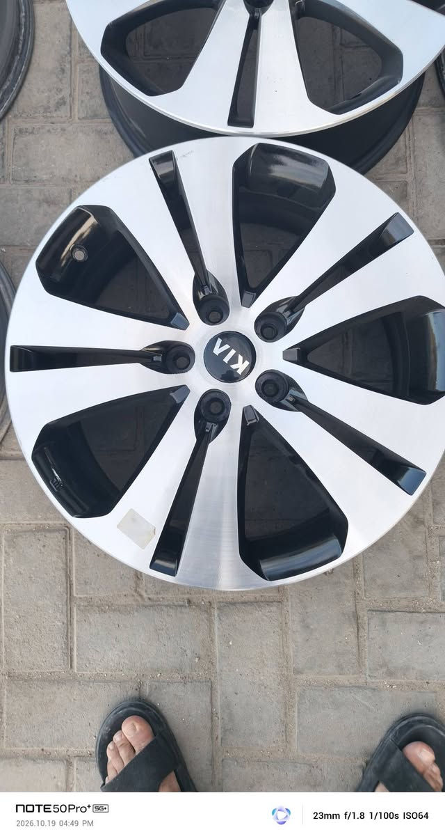 مراوس • ١٨بوصة • سورنتو
