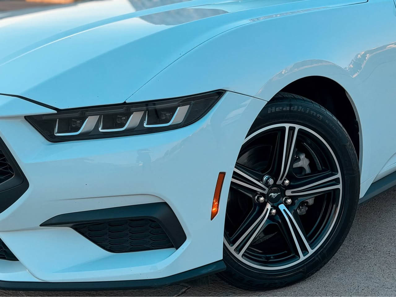 Ford Mustang EcoBost 2024 – بۆ فرۆتن 🚘🔥
فۆرد موستانگ مۆدێل 2024 ب ڕەنگەکێ سپی یێ ڕێک و پێک!
تایبەتمەندی و مواسەفات:
‎ مۆدێل: 2024
‎ ڕەنگ: سپی
‎ مواسەفات: ستاندارد (Standard)
 ڕێڤەچون (مەسافە): 32,000 مایل
تێبینی و ڕەوشا جەستەیی:
 نیڤ دەرگەهـ و نیڤ چەمەلۆخێ پشتێ سبغە (بێ داخلی، ناوەوەی بێ کێشەیە).
 ئێرباگ: تەنێ دوگمە ڤەبوونە و دوگمەیێن شەریکێ یێن ئۆرجینال بۆ هاتینە دانان.
نرخ: 20,500$ (مەجالەکێ بەسیت هەیە)
ژمارا پەیوەندیێ: 📞 ***********

Ford Mustang EcoBost 2024 – للبيع 🚘🔥
فورد موستانج موديل 2024 بلون أبيض مميز وبحالة ممتازة!
المواصفات والإضافات:
 الموديل: 2024
 اللون: أبيض
 المواصفات: ستاندارد (Standard)
 المسافة المقطوعة: 32,000 ميل
حالة البودي والملاحظات:
 صبغ نصف باب ونصف جاملوغ خلفي بدون داخل.
 الإيرباج: المفتوح فقط الدكم وتم تبديلها بأزرار أصلية من الشركة.
السعر: 20,500$ (مع مجال بسيط جداً)
رقم التواصل: 📞 *********** دهوك, العراق

