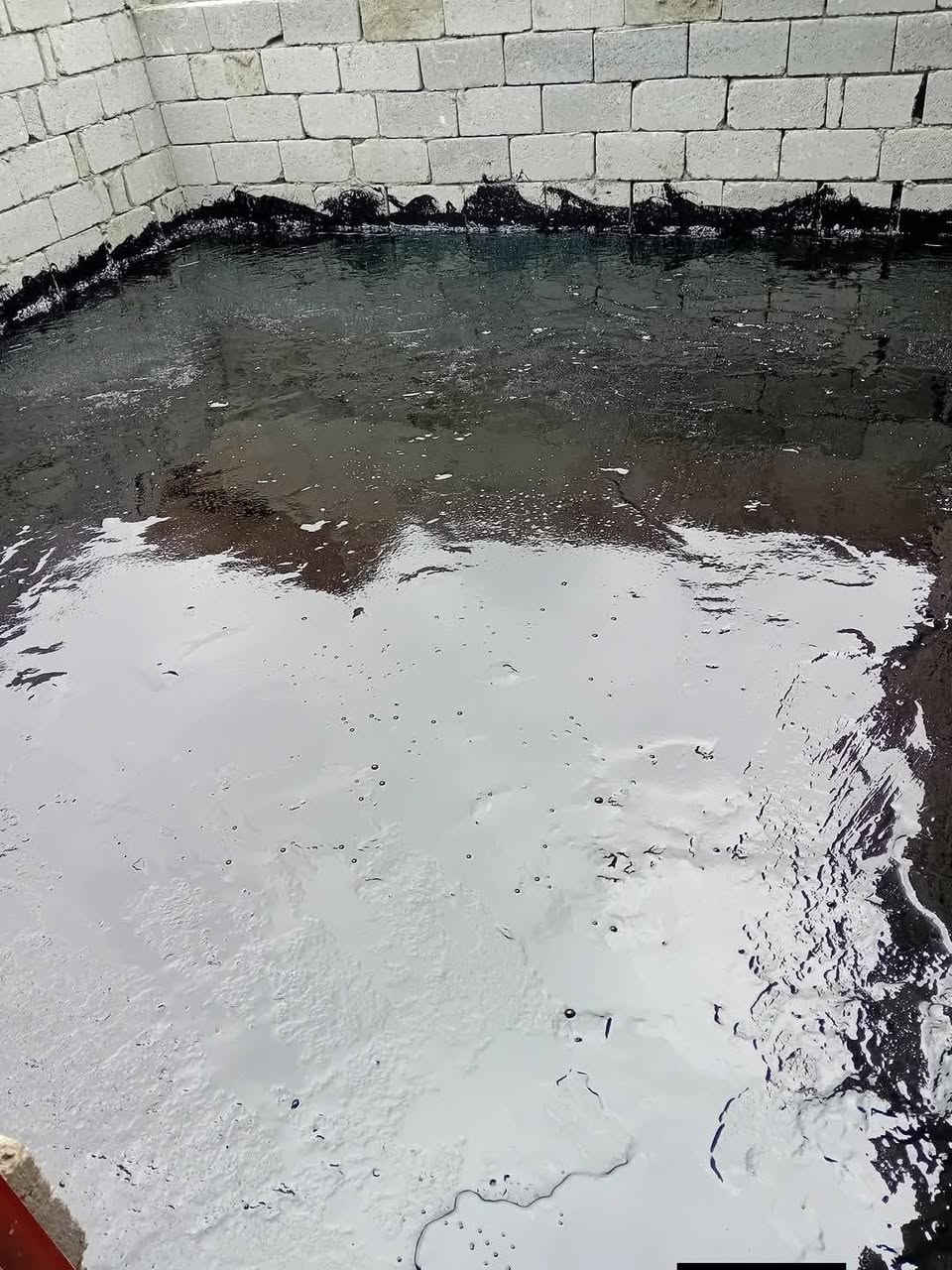 ابو حيدر  تعلن سكله المنكوشي البيع الكير الدرجه الاولى في محافظة كربلاء اتصال على رقام تاليه *********** 📞📞///***********
