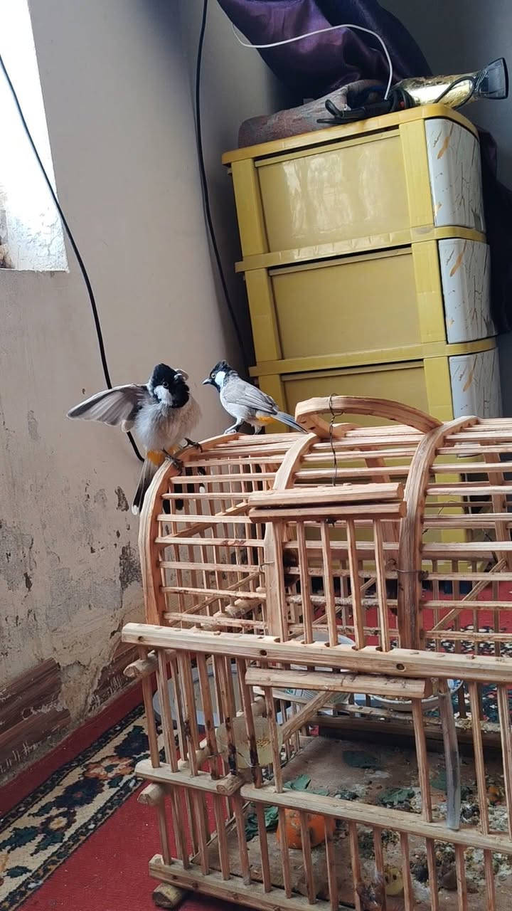سوق الشيوخ • للبيع • واتساب