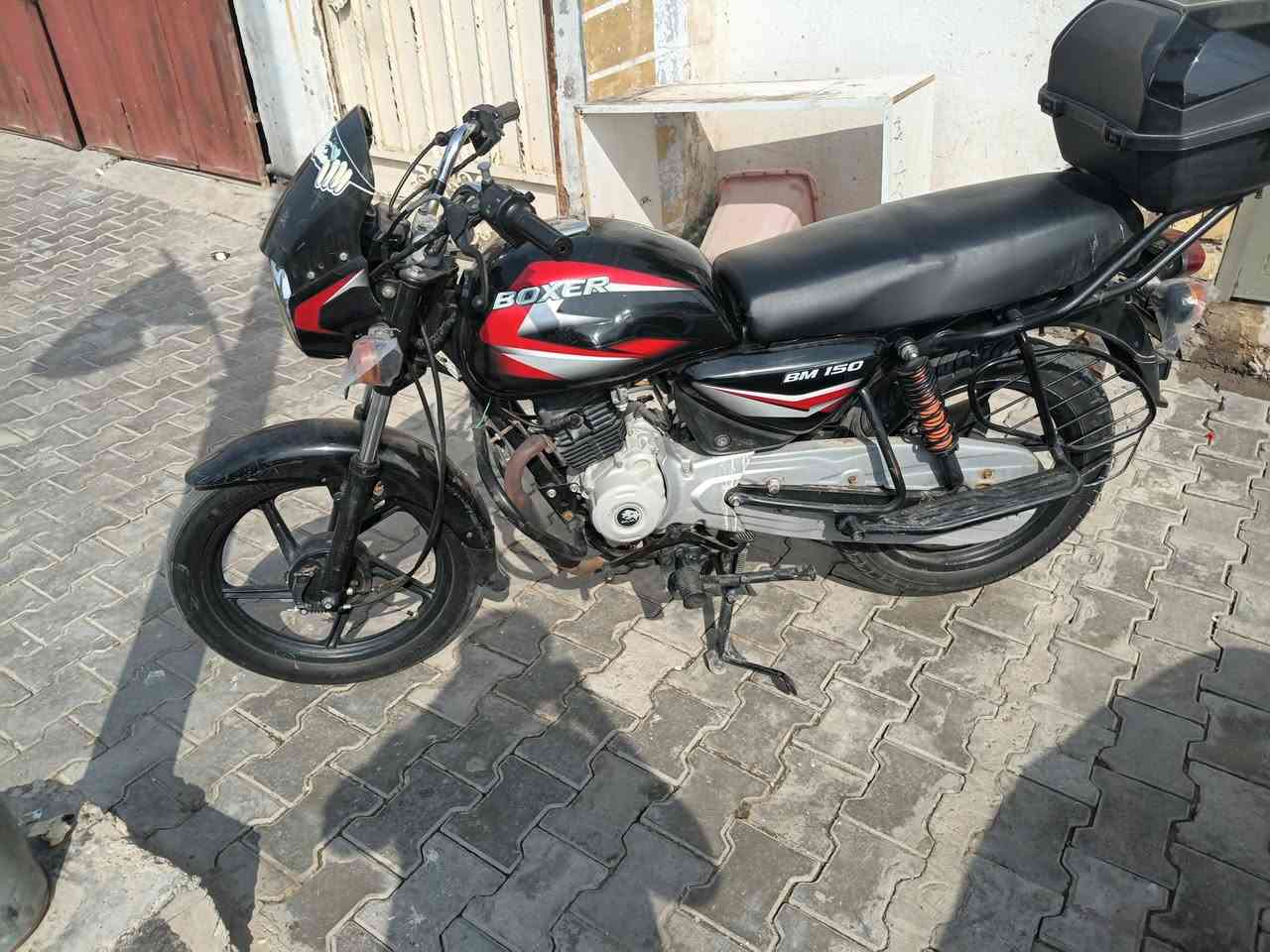بوكسر • ٢١ • اوراق اصليه