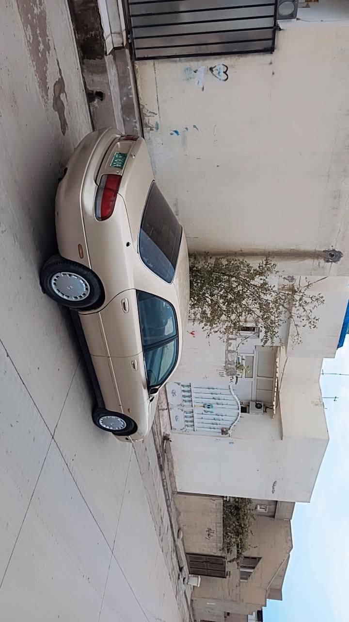 مازده فاسوليا • ١٩٩٤ • واتساب