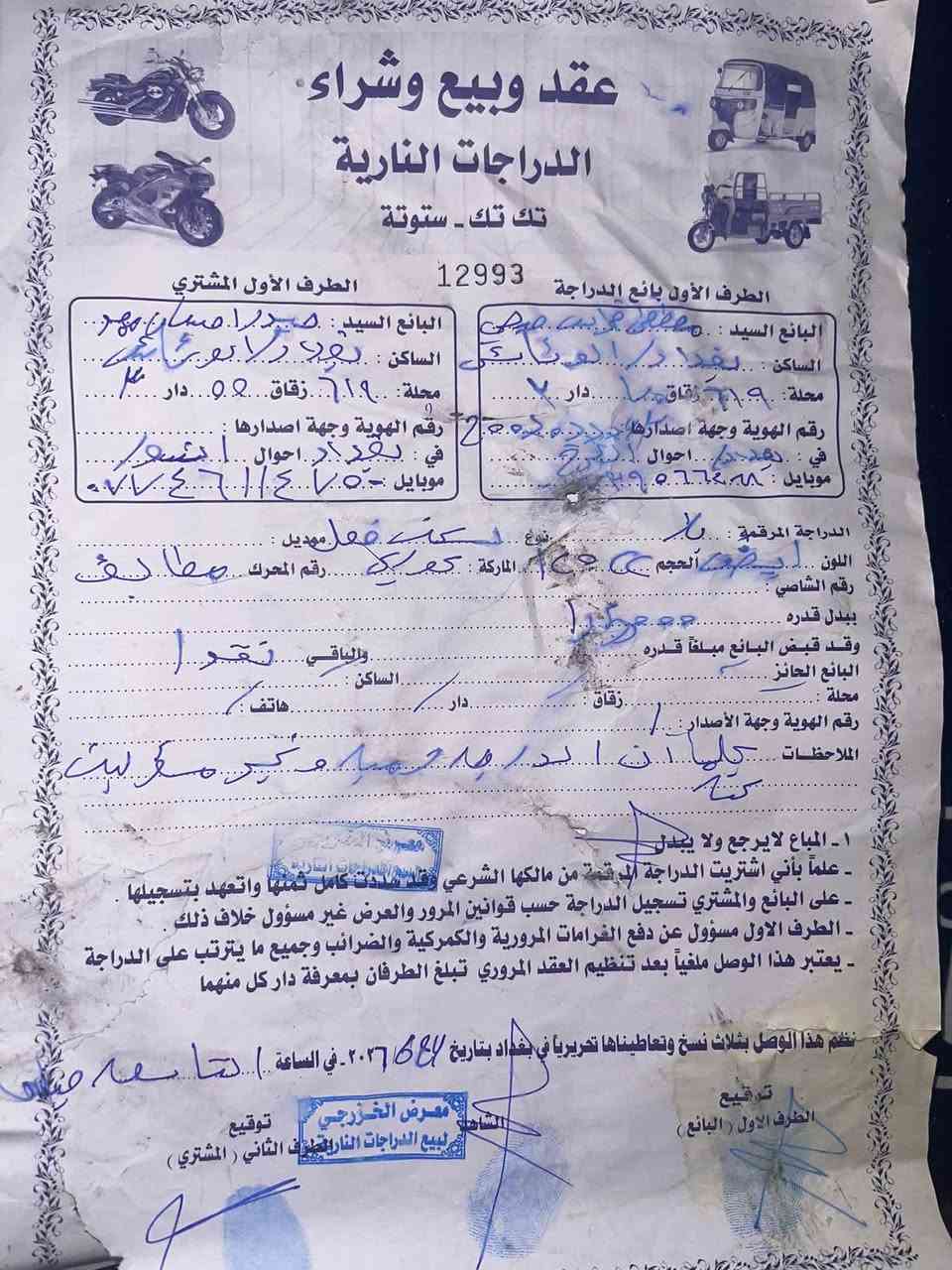 سكنس فحل • گولد • كفاله عامه