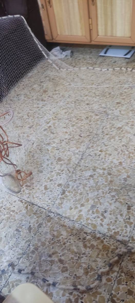 شبجة صيد • حجم وسط • نضيفة
