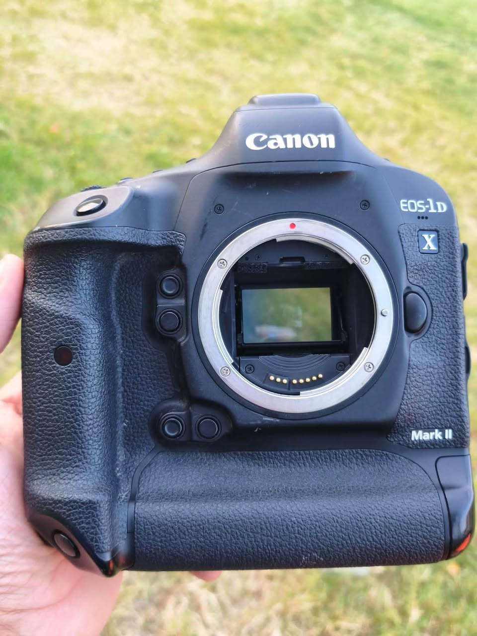 1D X Mark II • حسب الصور