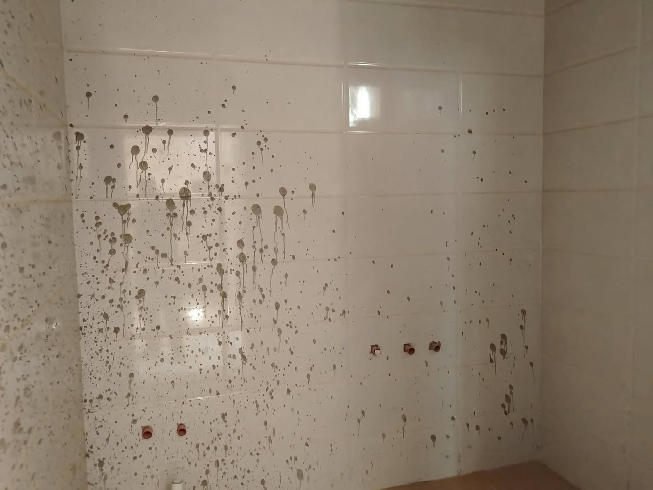 دار للبيع في مجمع ابو تراب السكني
١٥٠ متر طابق واحد غرفتين وصاله ومطبخ واستقبال وطرمه 
يباع 
‼️نقد ‼️ 
ــــــــــــــــــــــــــــــــــــــــــــــــــــــــــــــــ
اكتب "تم" 
📌 وستصلك التفاصيل عبر على الخاص.
او من خلال الارقام التالية. ‼️
***********
