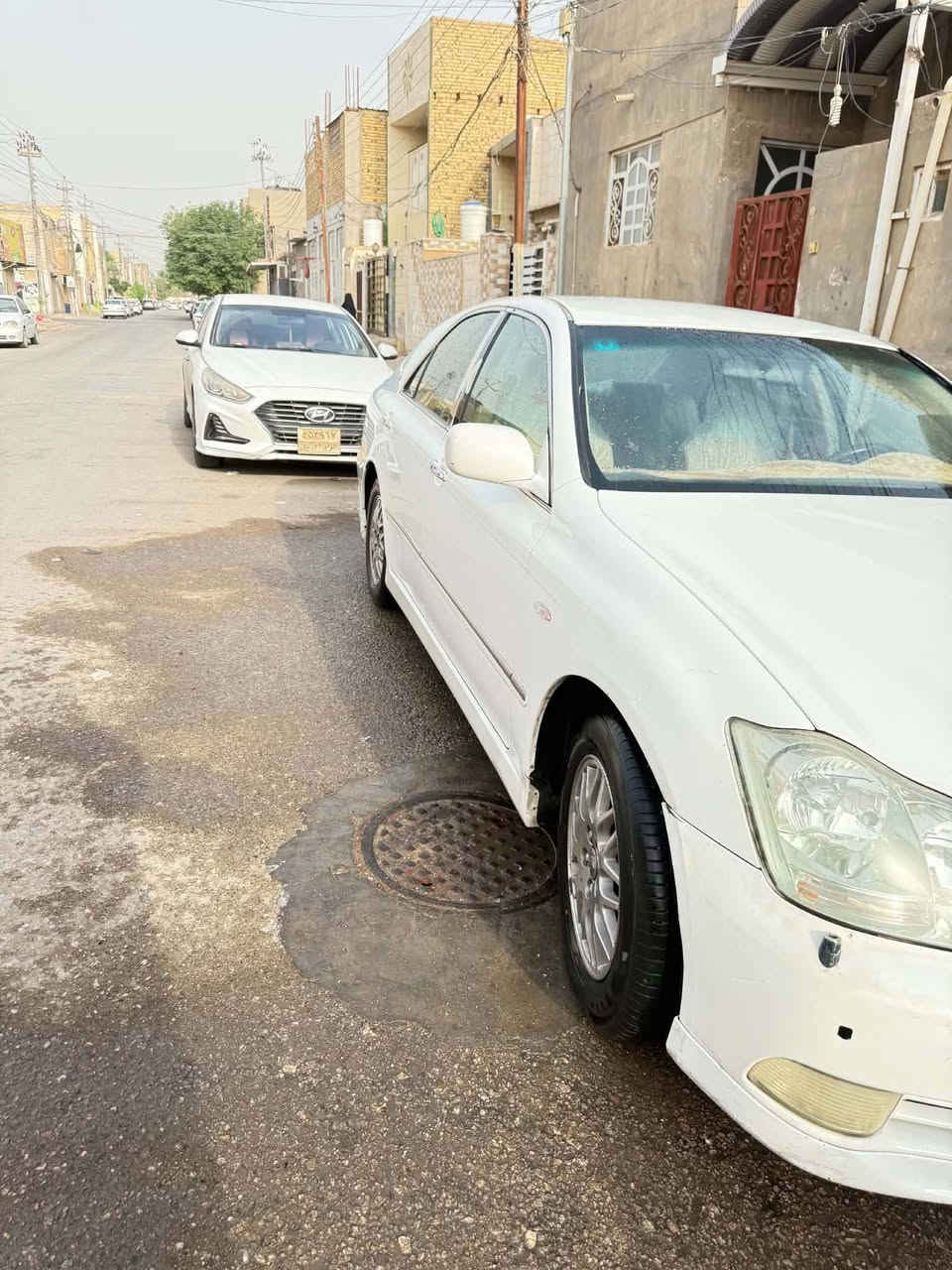 شاهينه • شاصي ٨٠ • نجف قرار ٤٨