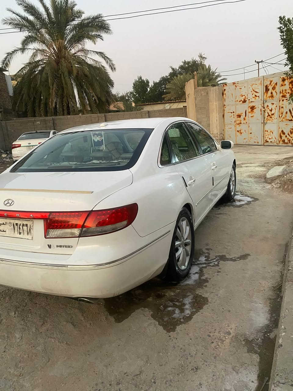 زيره • ٢٠٠٧ • ورقة