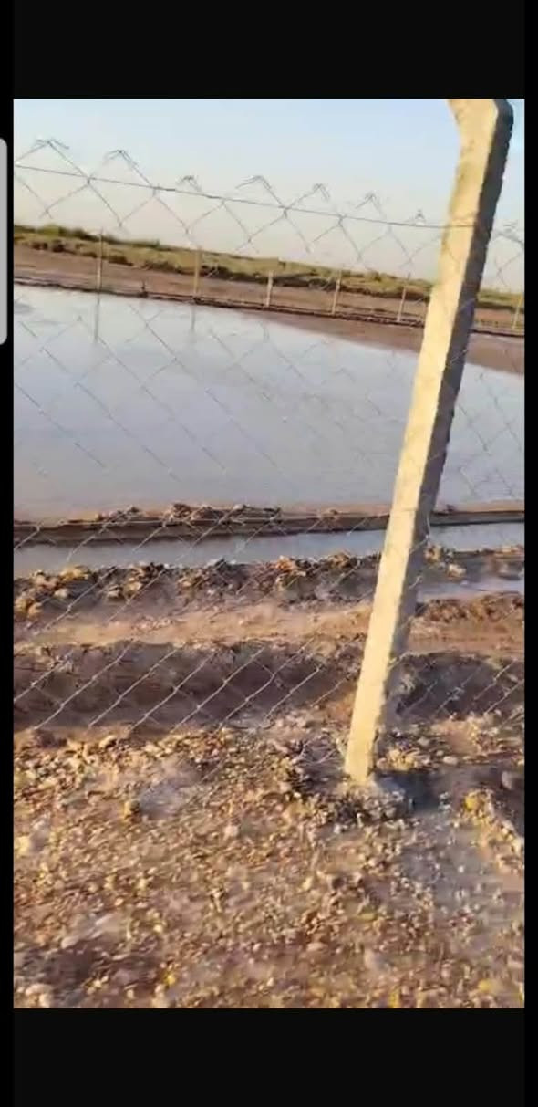 سند ٢٥ • طابو زراعي • ١ دونم