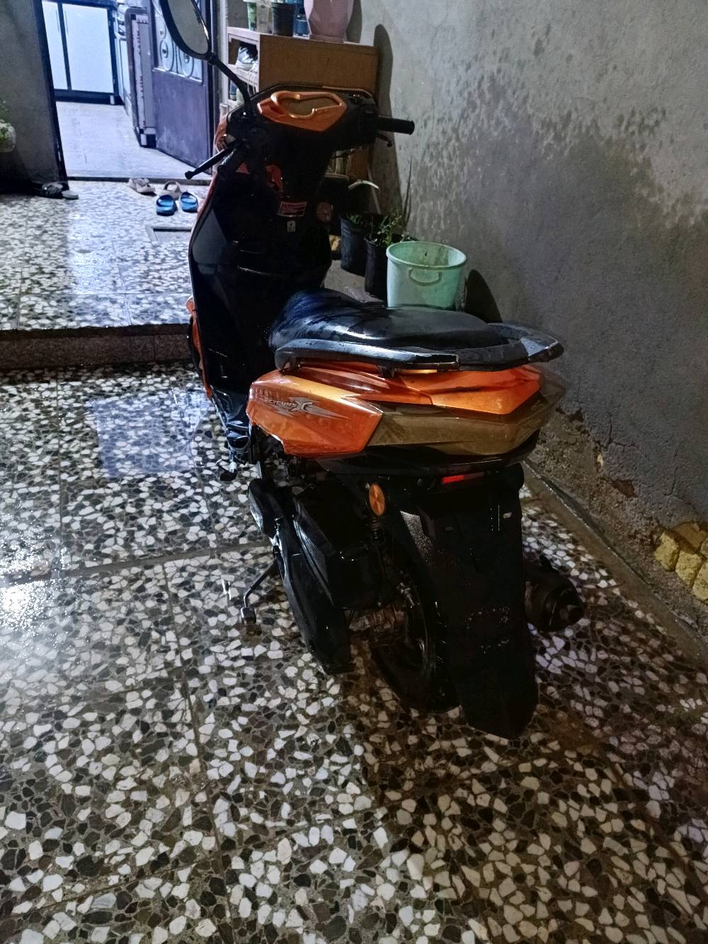 سكنز صيني • تجفيت • كابريته جديد