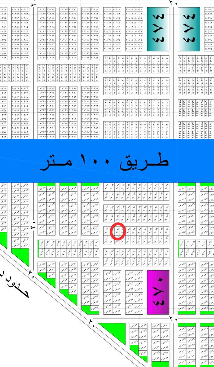 الصابيات الضباط • قطعة ١٤٠٩٨ • ٢٥٠م