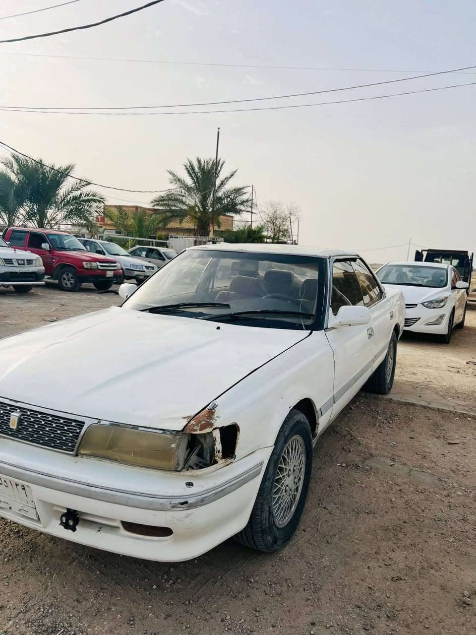 شيزر • رقم ديالى • نجف