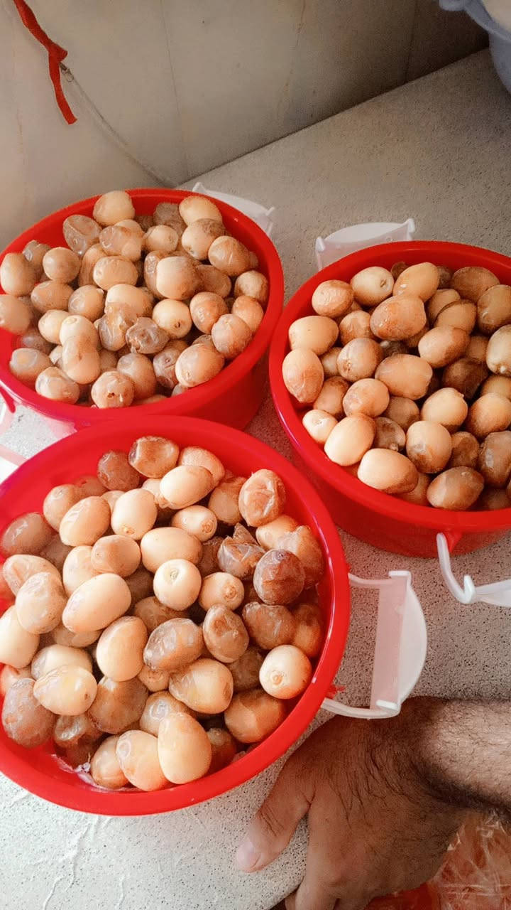 تمر برحي • درجة اولى • توصيل