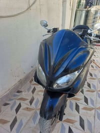 فورزة • ٢٠٠٨ • جراد