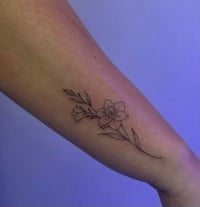 صالون الفرشات • وشم • كافيار