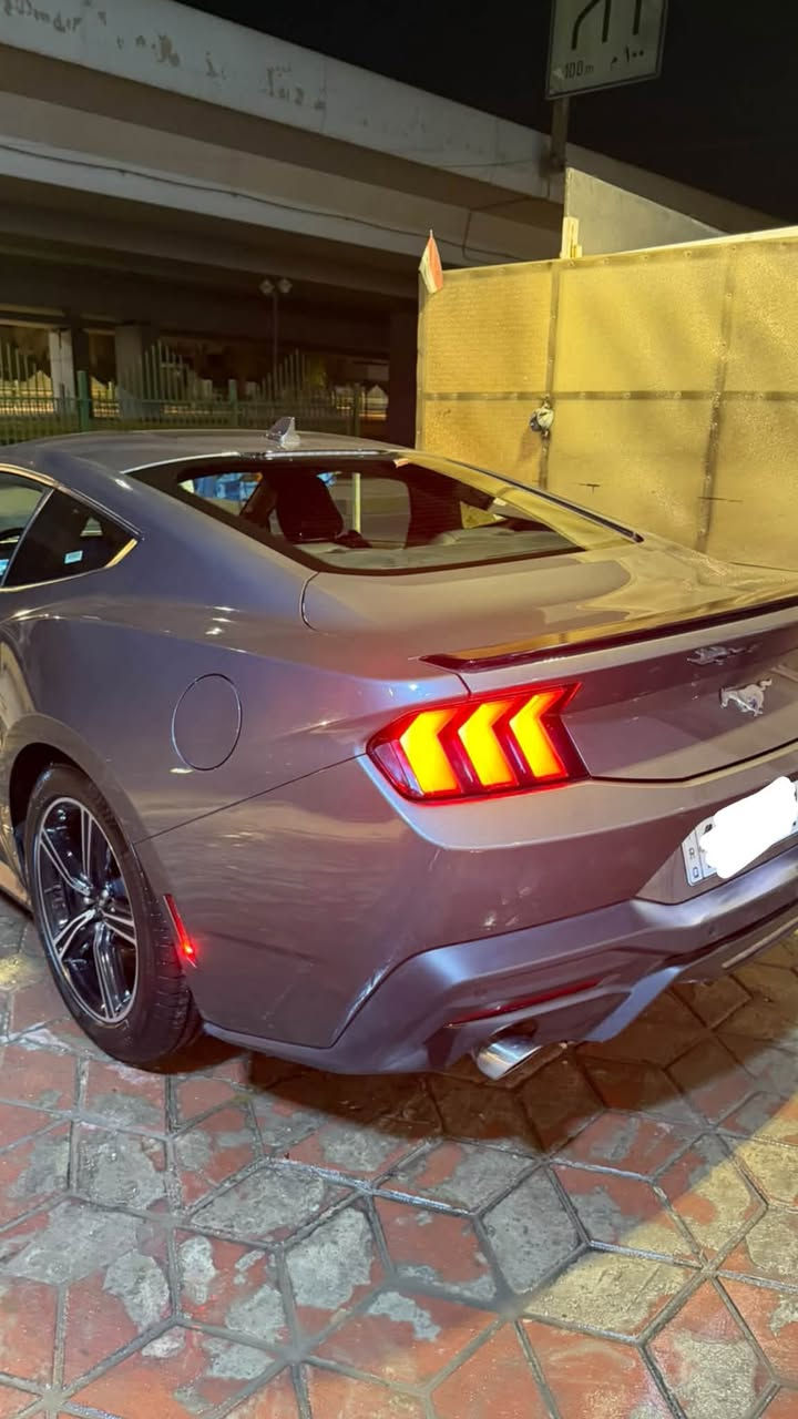 ايكوبوست • بريميوم فول • ٢٠٢٤